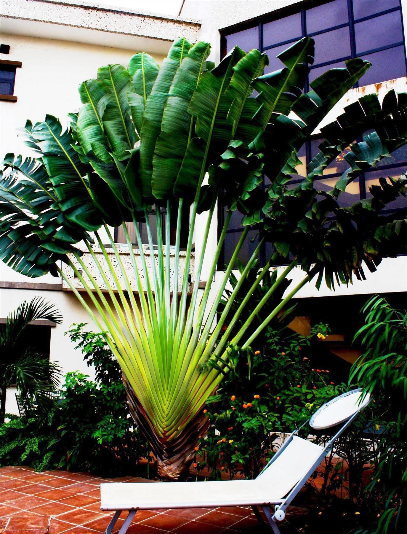 Three Arms Hotel Lagos Bagian luar foto